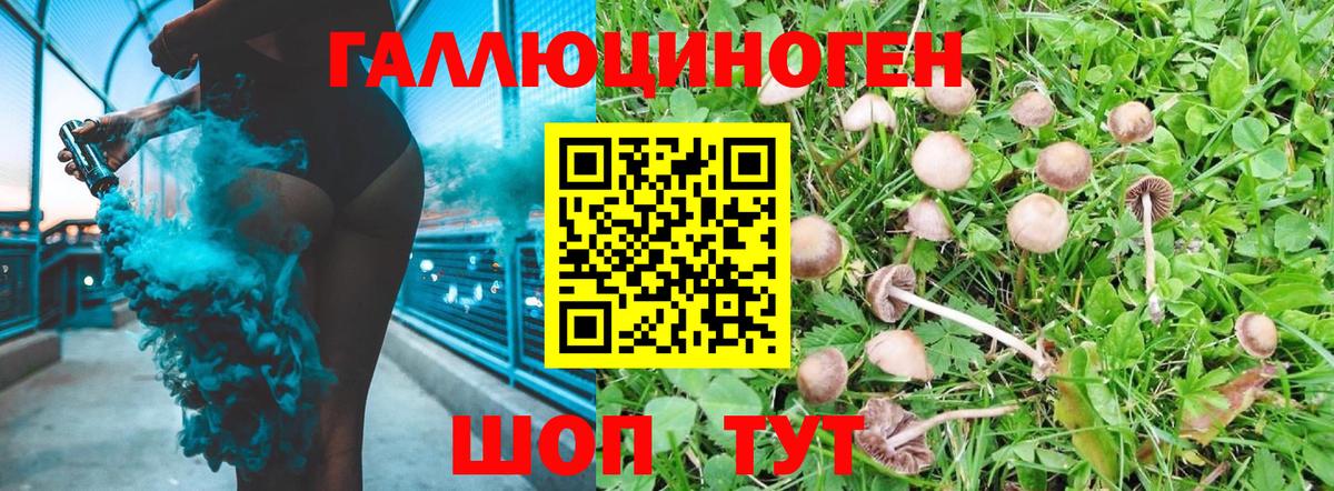 Галлюциногенные грибы Magic Shrooms  Вход с VPN  наркота  Северск 